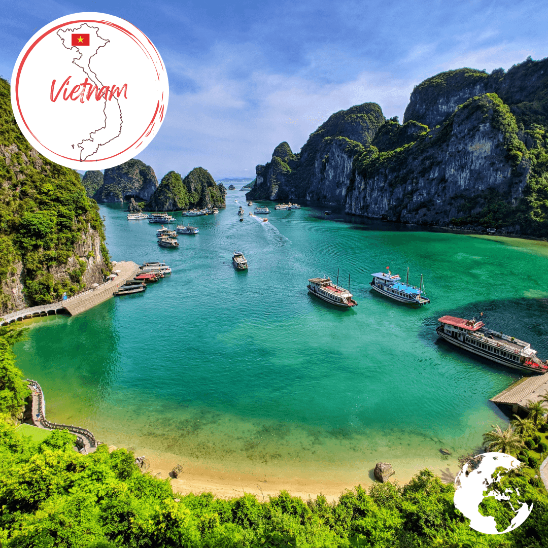 Vietnam - The Holiday Artist