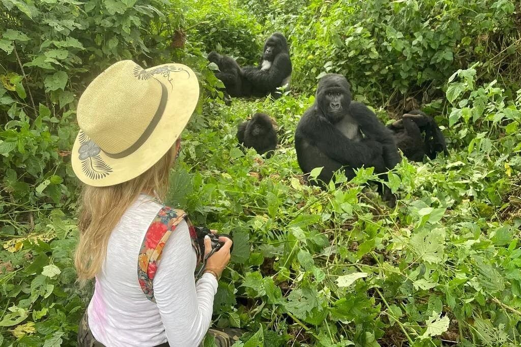 Walking Amongst Gorillas in Rwanda