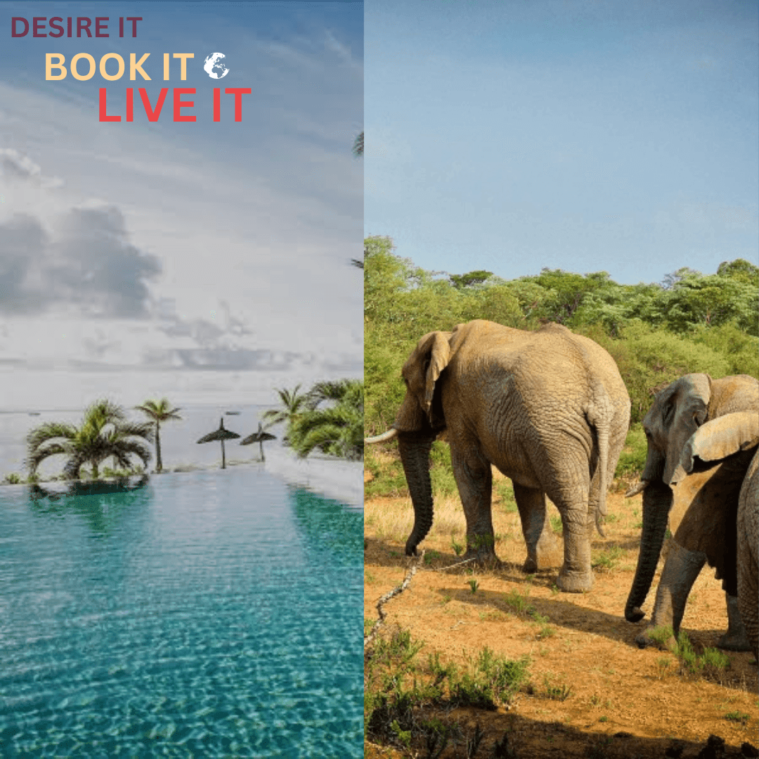 A split image of a pool overlooking a beach in Mauritius and a herd of elephants next to it walking in the bush