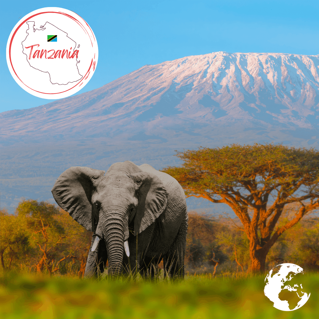Tanzania - The Holiday Artist