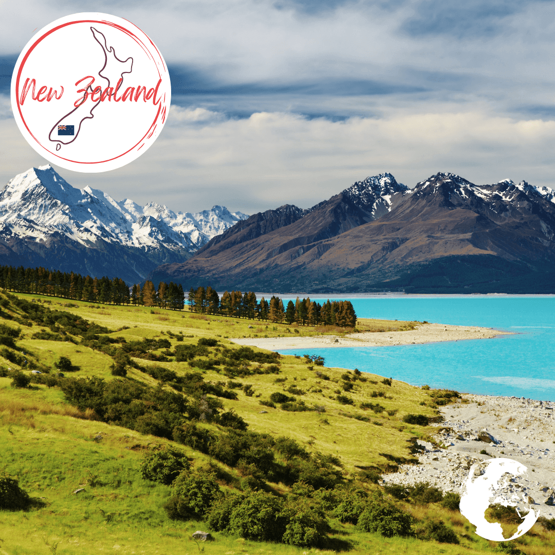 New Zealand - The Holiday Artist