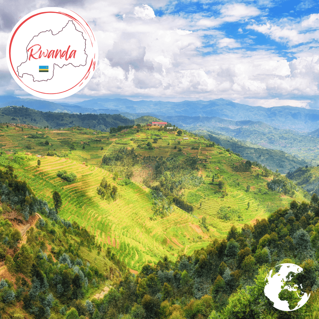 Rwanda - The Holiday Artist