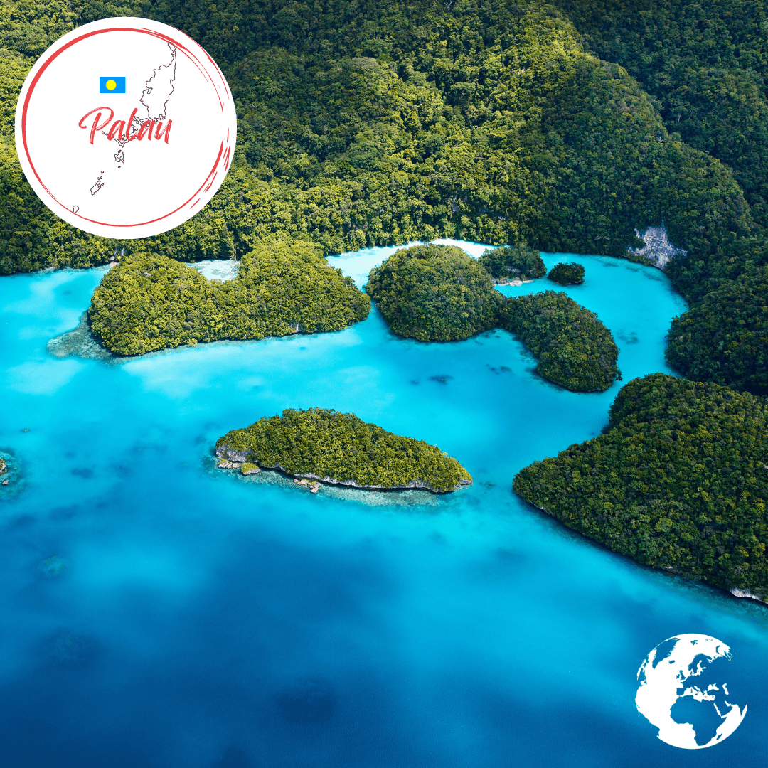 Palau - The Holiday Artist